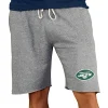 New York Jets Underwear & Sleepwear^Men's Concepts Sport Gray Team Mainstream Terry Shorts
